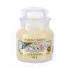 Yankee Candle Christmas Cookie Αρωματικό κερί 104 gr