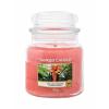 Yankee Candle The Last Paradise Αρωματικό κερί 411 gr