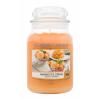 Yankee Candle Mango Ice Cream Αρωματικό κερί 623 gr