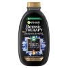 Garnier Botanic Therapy Magnetic Charcoal &amp; Black Seed Oil Σαμπουάν για γυναίκες 400 ml