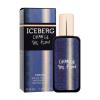 Iceberg Change The Flow Eau de Toilette για άνδρες 30 ml