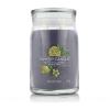Yankee Candle Signature Black Tea &amp; Lemon Αρωματικό κερί 567 gr