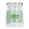 Yankee Candle Signature Aloe &amp; Agave Αρωματικό κερί 368 gr