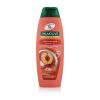 Palmolive Naturals Hydra Balance 2in1 Σαμπουάν για γυναίκες 350 ml