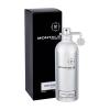 Montale Vanille Absolu Eau de Parfum για γυναίκες 100 ml