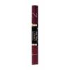 Max Factor Lipfinity Colour + Gloss Κραγιόν για γυναίκες Απόχρωση 550 Reflective Ruby Σετ