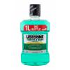 Listerine Teeth &amp; Gum Defence Defence Fresh Mint Mouthwash Στοματικό διάλυμα 1000 ml