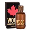 Dsquared2 Wood Eau de Toilette για άνδρες 100 ml