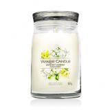 Yankee Candle Signature Midnight Jasmine Αρωματικό κερί 567 gr