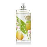 Elizabeth Arden Green Tea Citron Freesia Eau de Toilette για γυναίκες 100 ml TESTER