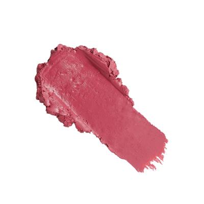 Revolution Pro New Neutral Satin Matte Lipstick Κραγιόν για γυναίκες 3,2 gr Απόχρωση Struck