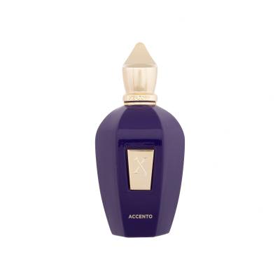 Xerjoff V Collection Accento Eau de Parfum 100 ml