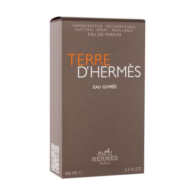 Hermes Terre d´Hermès Eau Givrée Eau de Parfum για άνδρες 100 ml