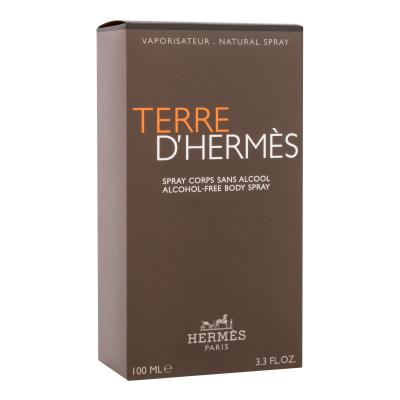 Hermes Terre d´Hermès Σπρεϊ σώματος για άνδρες 100 ml
