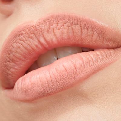 Catrice Plumping Lip Liner Μολύβι για τα χείλη για γυναίκες 0,35 gr Απόχρωση 150 Queen Vibes