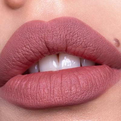 Catrice Plumping Lip Liner Μολύβι για τα χείλη για γυναίκες 0,35 gr Απόχρωση 040 Starring Role