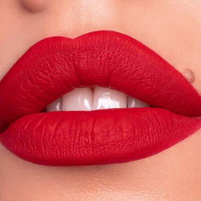 Catrice Plumping Lip Liner Μολύβι για τα χείλη για γυναίκες 0,35 gr Απόχρωση 120 Stay Powerful