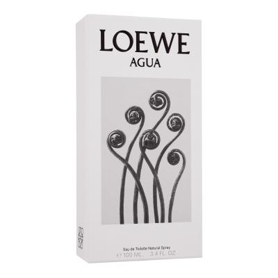Loewe Agua Eau de Toilette 100 ml