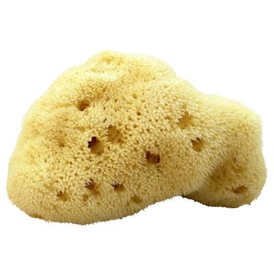 Kii-Baa Organic Silky Sea Sponge 8-10 cm Σφουγγάρια σώματος 1 τεμ