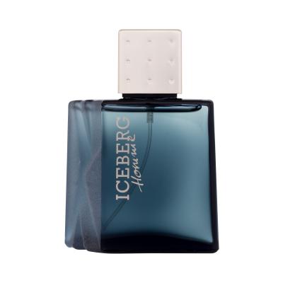 Iceberg Homme Eau de Toilette για άνδρες 50 ml