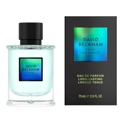 David Beckham True Instinct Eau de Parfum για άνδρες 75 ml