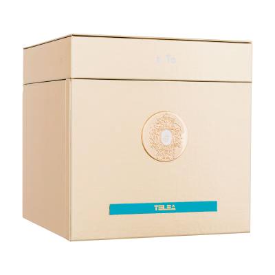 Tiziana Terenzi Telea Perfume extract 100 ml