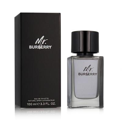 Burberry Mr. Burberry Eau de Toilette για άνδρες 100 ml