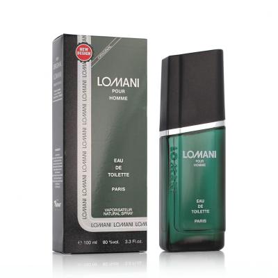 Lomani Pour Homme Eau de Toilette για άνδρες 100 ml
