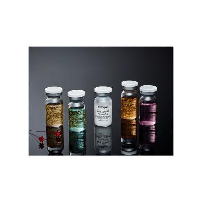 Stayve Booster Starter Kit Σετ δώρου ορός προσώπου Whitening Stem Cell Culture Ampoule 3 x 8 ml + ορός προσώπου Aqua Stem Cell Culture Ampoule 3 x 8 ml + ορός προσώπου EGF Peptide Gold Ampoule 2 x 8 ml + ορός προσώπου Salmon DNA 2 x 8 ml + ορός προσώπου AC Stem Cell 2 x 8 ml
