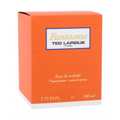 Ted Lapidus Fantasme Eau de Toilette για γυναίκες 100 ml