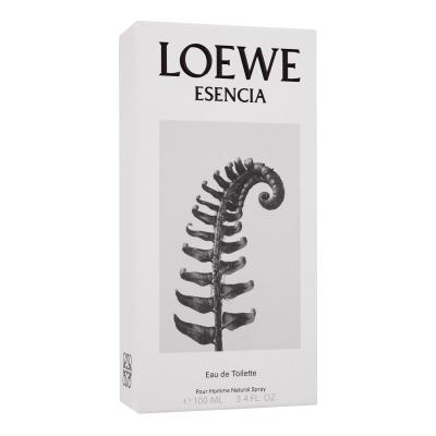 Loewe Esencia Loewe Eau de Toilette για άνδρες 100 ml