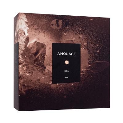 Amouage Dia Man Eau de Parfum για άνδρες 100 ml