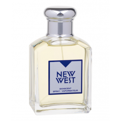 Aramis New West Eau de Toilette για άνδρες 100 ml