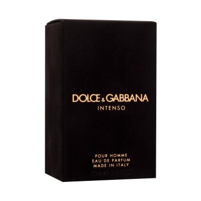 Dolce&amp;Gabbana Pour Homme Intenso Eau de Parfum για άνδρες 75 ml