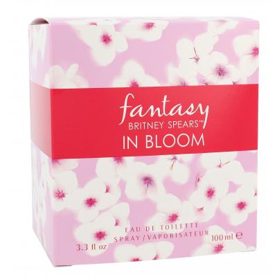 Britney Spears Fantasy in Bloom Eau de Toilette για γυναίκες 100 ml