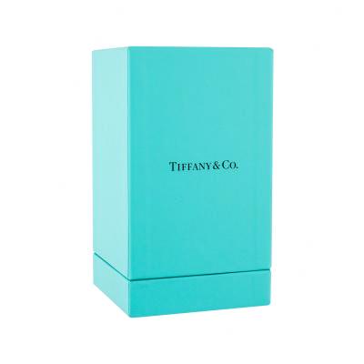 Tiffany &amp; Co. Tiffany &amp; Co. Eau de Parfum για γυναίκες 75 ml
