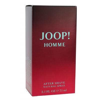 JOOP! Homme Aftershave για άνδρες Με ψεκαστήρα 75 ml