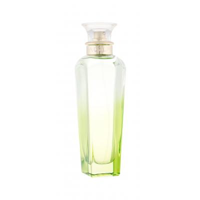 Adolfo Dominguez Agua Fresca de Azahar Eau de Toilette 120 ml