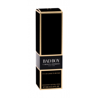 Carolina Herrera Bad Boy Αποσμητικό για άνδρες 100 ml