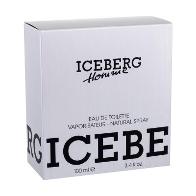 Iceberg Homme Eau de Toilette για άνδρες 100 ml ελλατωματική συσκευασία