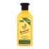 Xpel Banana Shampoo Σαμπουάν για γυναίκες 400 ml