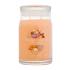 Yankee Candle Signature Mango Ice Cream Αρωματικό κερί 567 gr