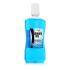Zidac Laboratories Absolute Ice Coolmint Mouthwash Στοματικό διάλυμα 500 ml