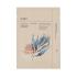 Ondo Beauty 36.5 CHOK-CHOK Hyaluronic Acid & Algae Moisture Boosting Mask Μάσκα προσώπου 25 gr