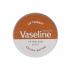 Vaseline Lip Therapy Cocoa Butter Βάλσαμο για τα χείλη για γυναίκες 20 gr