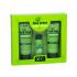 Xpel Tea Tree Σετ δώρου για γυναίκες σαμπουάν 100 ml + μαλακτικό μαλλιών (κοντίσιονερ) 100 ml + ορός μαλλιών 30 ml