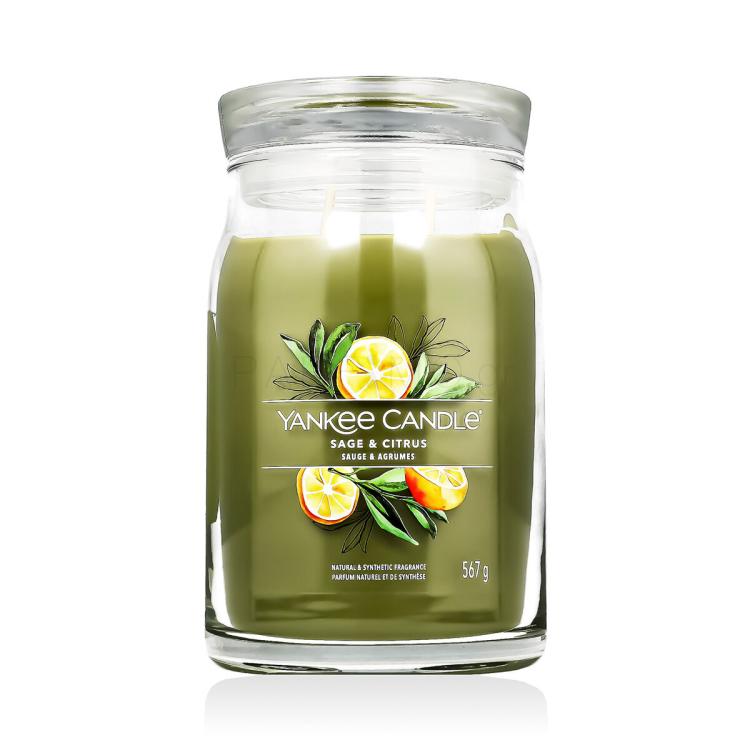 Yankee Candle Signature Sage &amp; Citrus Αρωματικό κερί 567 gr