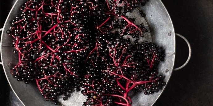 Elderberry για σκούρενση μαλλιών